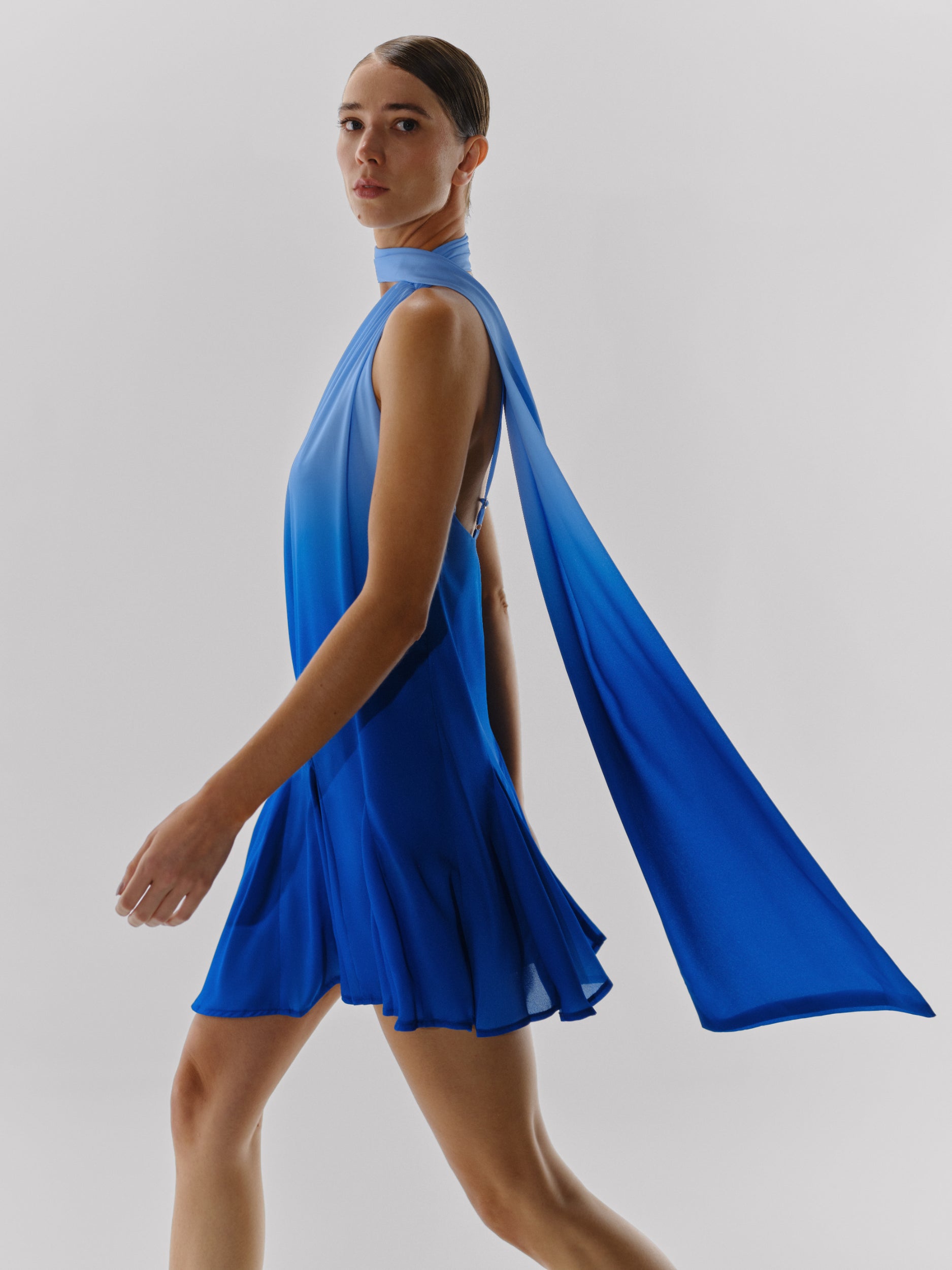 Ari Mini Dress