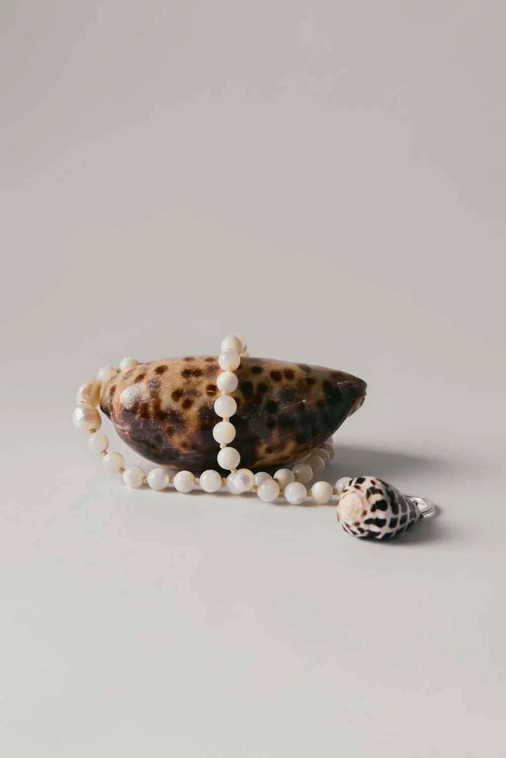 Nassa Necklace