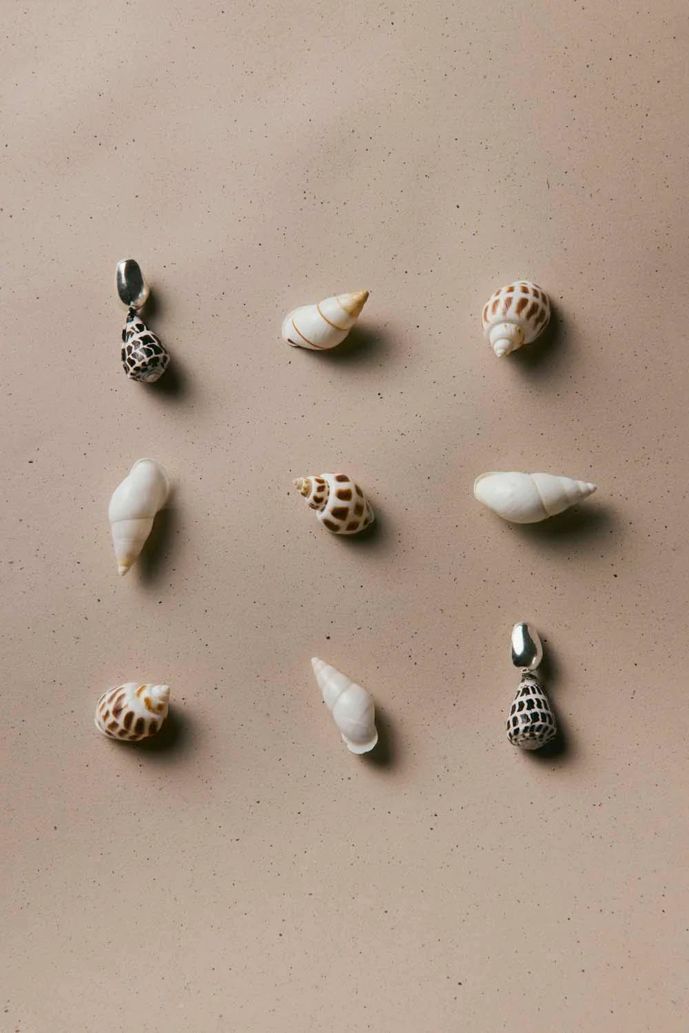 Nassa Earrings