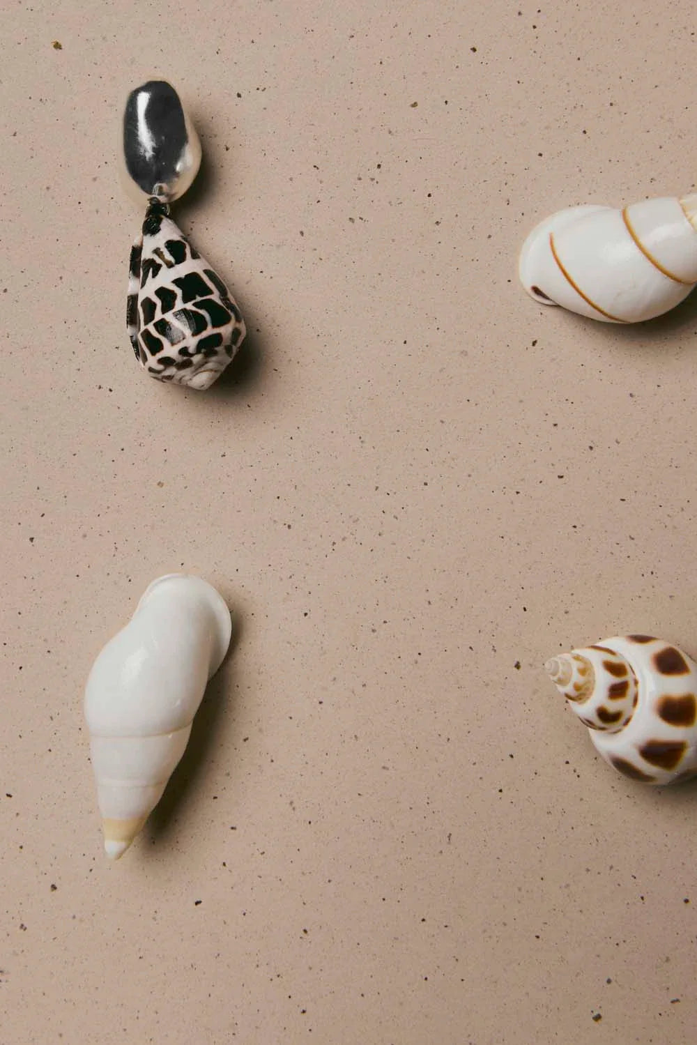 Nassa Earrings