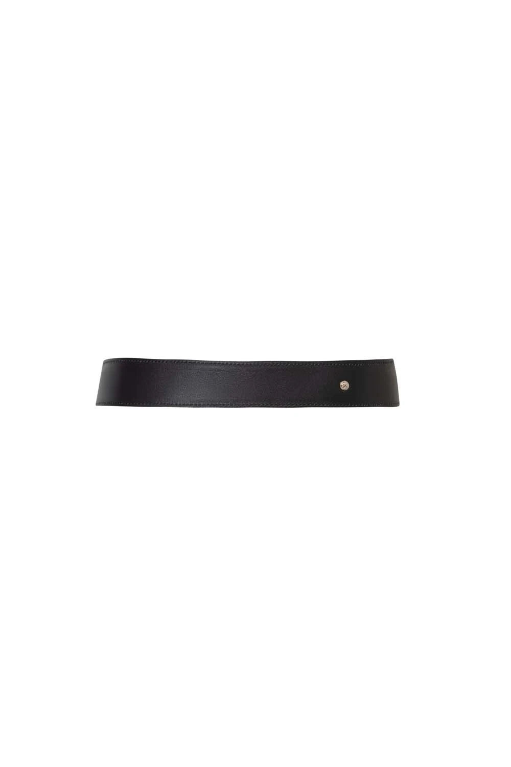 Nori Belt