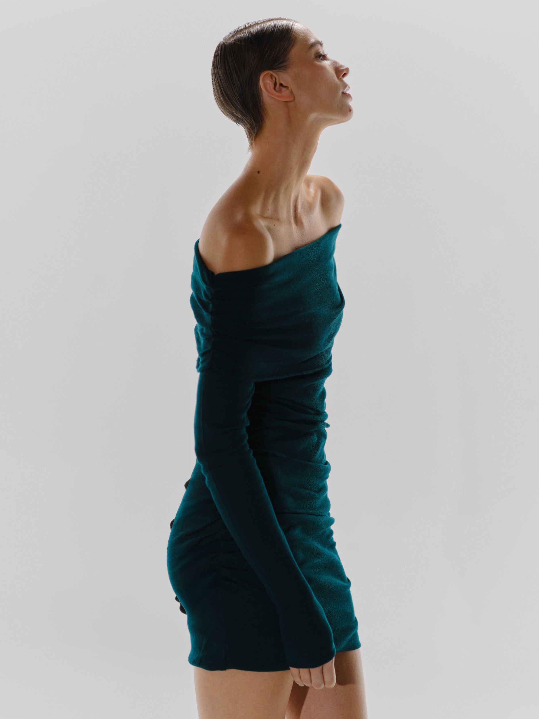 Fuji Mini Dress