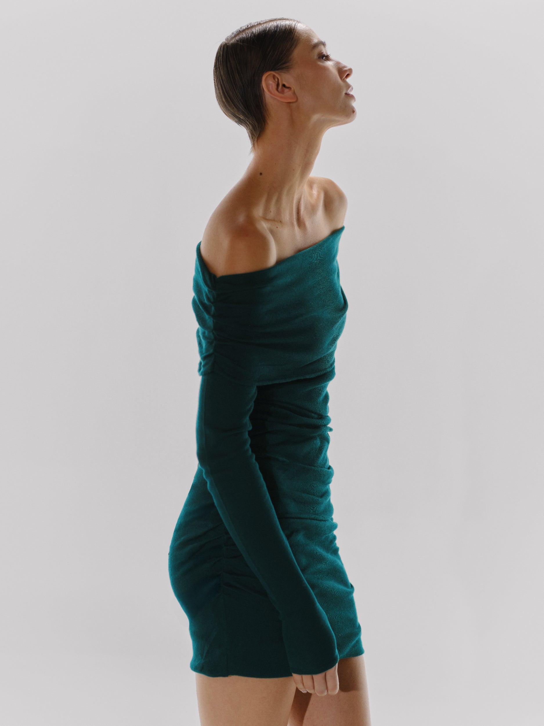 Fuji Mini Dress