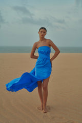 Biel Dress Blueberry - BAOBAB